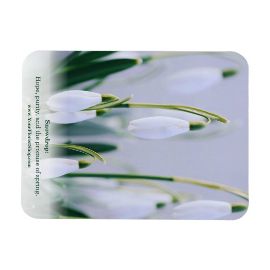 Les van de natuur: Snowdrop Educational Fridge Magneet (Horizontaal)