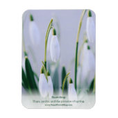 Les van de natuur: Snowdrop Educational Fridge Magneet (Verticaal)