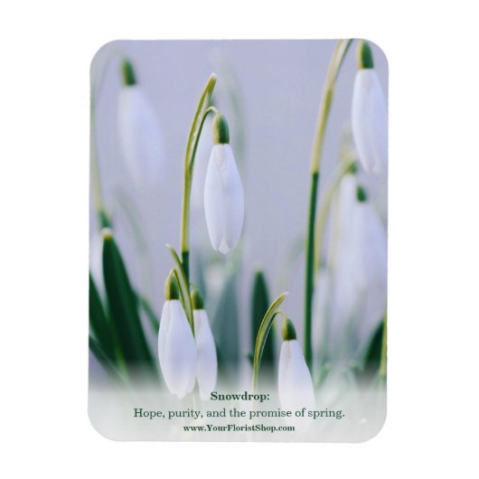 Les van de natuur: Snowdrop Educational Fridge Magneet (Verticaal)