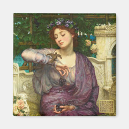 Lesbia en haar Mus (door Edward John Poynter) Magneet