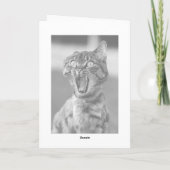 Lesbiennes Eet Wat Grappig Kat Gevouwen Verjaardag Kaart (Achterkant)