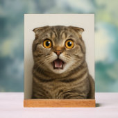 Lesbiennes eten wat grappig acryl bord (Neutraal)