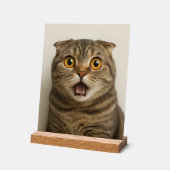 Lesbiennes eten wat grappig acryl bord (Hoek)