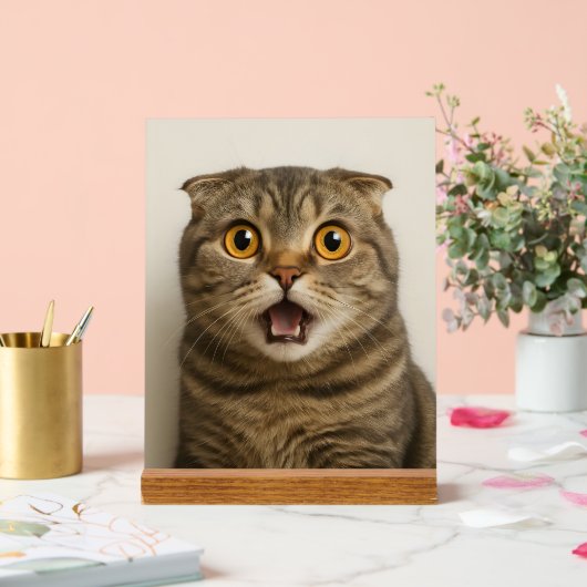 Lesbiennes eten wat grappig acryl bord (Huwelijk)
