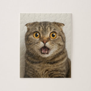 Lesbiennes Eten Wat Grappig Legpuzzel