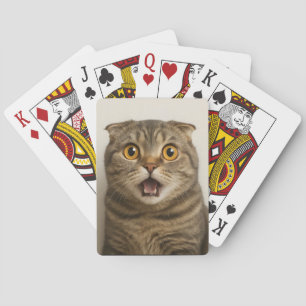Lesbiennes Eten Wat Grappig Pokerkaarten