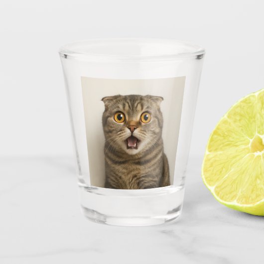Lesbiennes Eten Wat Grappig Shot Glas (Voorkant)