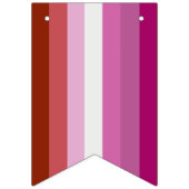 Lesbische Pride-vlag (Oorsprong) Vlaggetjes (Derde vlag)