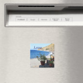 Lesbos Magneet (Insitu (Vaatwasser))