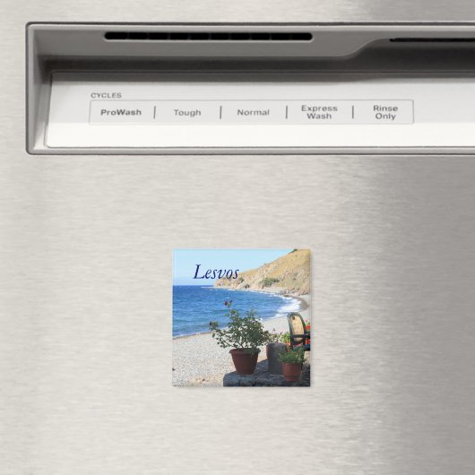 Lesbos Magneet (Insitu (Vaatwasser))