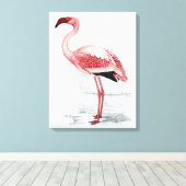  leser Flamingo Claude Gibney Finch Davies Canvas Afdruk (Insitu (Houten vloer))