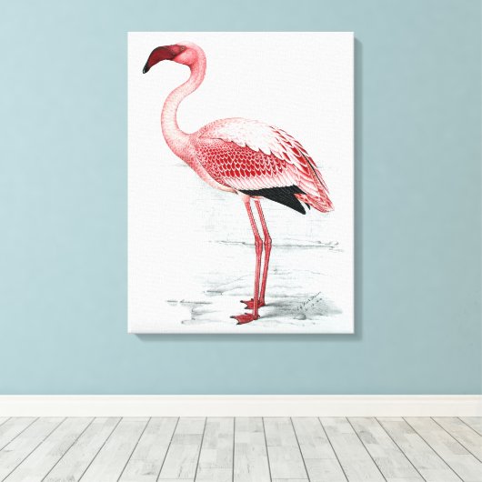  leser Flamingo Claude Gibney Finch Davies Canvas Afdruk (Insitu (Houten vloer))
