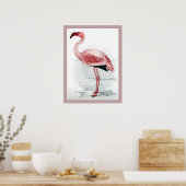 leser Flamingo Claude Gibney Finch Davies Poster (Keuken)