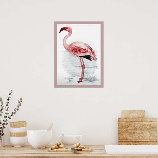 leser Flamingo Claude Gibney Finch Davies Poster (Keuken)