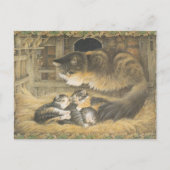 LESLEY ANNE IVORYS CHRISTMAS CAT POSTCARD BRIEFKAART (Voorkant)