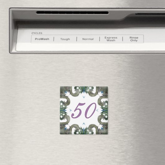 Leslie Magneet (Insitu (Vaatwasser))