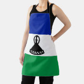 Lesotho Flag Schort (Insitu)