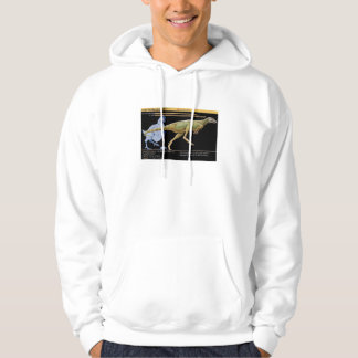 Lesothosaurus - Biologie Dinosaur Jurassisch Hoodie