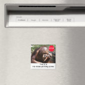 Lessen over het leven van dieren #1 magneet (Insitu (Vaatwasser))