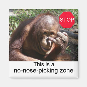 Lessen over het leven van dieren #1 magneet