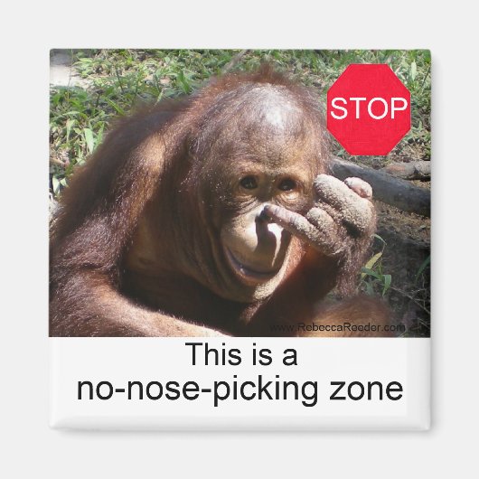 Lessen over het leven van dieren #1 magneet (Voorkant)