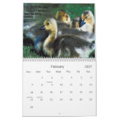 LESSEN VAN DE GEESE CALENDAR KALENDER (Feb 2027)