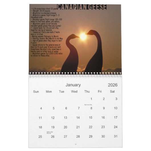LESSEN VAN DE GEESE CALENDAR KALENDER (Jan 2026)