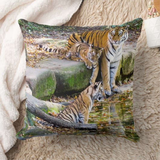 Lessen van het leven moeder tijger en kubussen kussen (Deken)