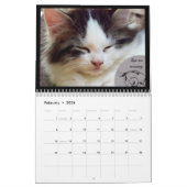 Lessen van het leven van een Kat Kalender (Feb 2026)