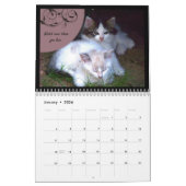 Lessen van het leven van een Kat Kalender (Jan 2026)
