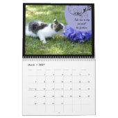 Lessen van het leven van een Kat Kalender (Mar 2027)
