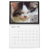Lessen van het leven van een Kat Kalender (Feb 2027)