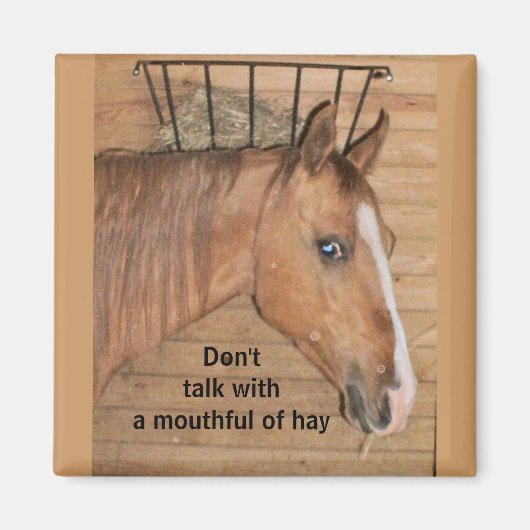 Lessen van mama - magneet (Voorkant)