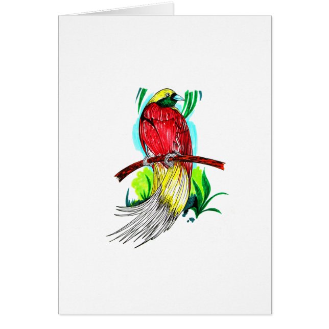 Lesser Bird (Voorkant)