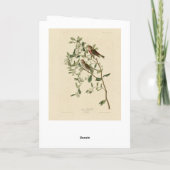 Lesser (Common) Red-Poll, Audubon Birds of America Kaart (Achterkant)