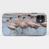 Lesser Flamingos in beweging, Phoenicopterus Case-Mate iPhone Case (Achterkant (horizontaal))
