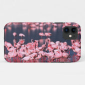 Lesser Flamingos (Phoeniconaias minor), Afrika, Case-Mate iPhone Case (Achterkant (horizontaal))