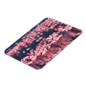 Lesser Flamingos (Phoeniconaias minor), Afrika, Magneet (Linkerzijde)