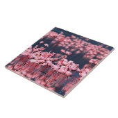 Lesser Flamingos (Phoeniconaias minor), Afrika, Tegeltje (Zijkant)