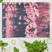 Lesser Flamingos (Phoeniconaias minor), Afrika, Theedoek (Gevouwen)