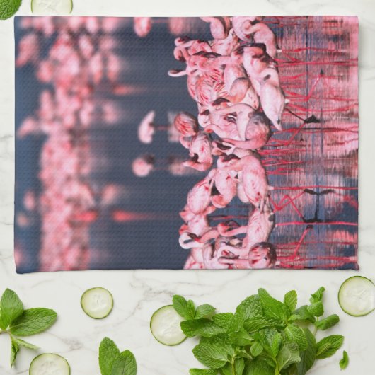 Lesser Flamingos (Phoeniconaias minor), Afrika, Theedoek (Gevouwen)