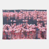 Lesser Flamingos (Phoeniconaias minor), Afrika, Theedoek (Horizontaal)