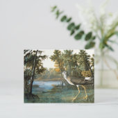 Lesser gele benen briefkaart (Staand voorkant)