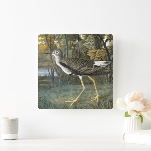 Lesser gele benen vierkante klok (Huis)