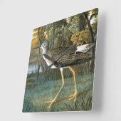 Lesser gele benen vierkante klok (Hoek)