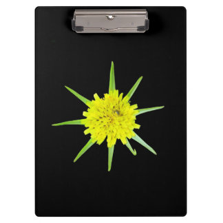 Lesser Goats-beard Wild Flower Clipboard Klembord