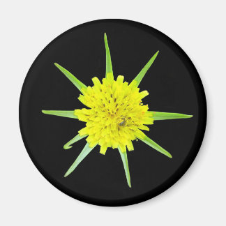 Lesser Goats-beard Wild Flower Magnet