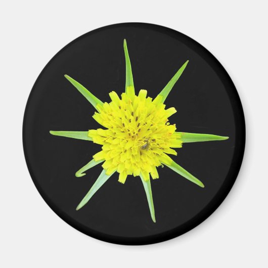 Lesser Goats-beard Wild Flower Magnet (Voorkant)