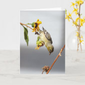 Lesser Goldfinch Notecard Kaart (Gele Bloem)