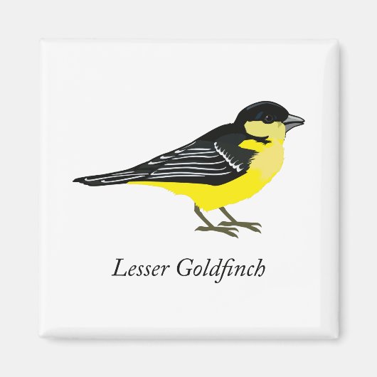 Lesser goudfinch magneet (Voorkant)
